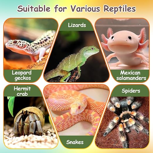 2PCS Reptile Thermometer and Hygrometer Gauge Adhesive Digital Terrarium Hygrometer Reptile Tank Accessories for Bearded Dragon Jumping Spider Leopard Gecko Lizard Ball Python Hermit Crab