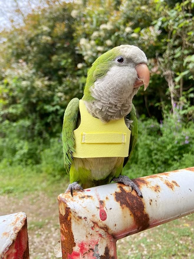 Bird Flight Harness Vest Parrot Flight Suit with Leash for Parakeets Cockatiels Conures Budgies, Bird Flying Clothes with Rope and Handle for Outdoor Activities Training (XS,Yellow)