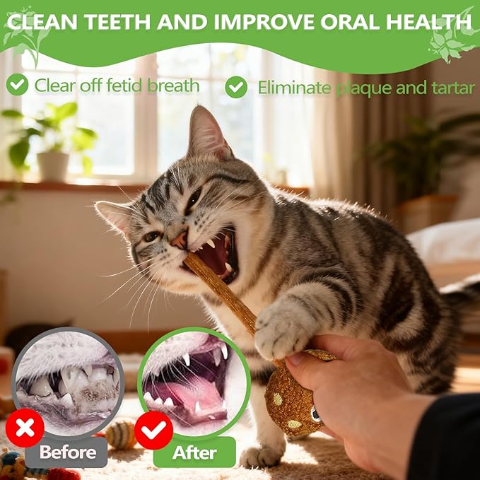 Silvervine Sticks for Cats (3-Pcs), Catnip Lollipop Cat Toy for Indoor Cats, Natural Cat Chew Toys for Kitten Teething and Teeth Cleaning