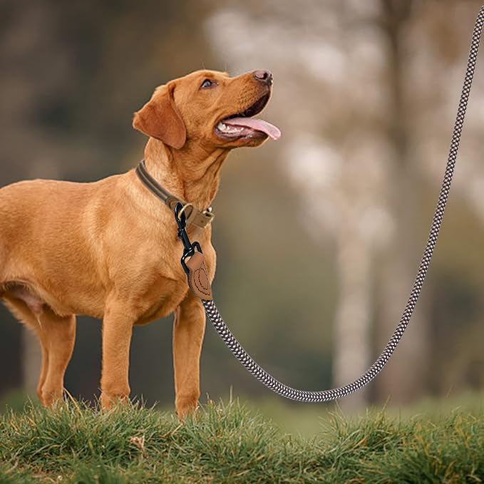 Mile High Life Rope Leash with Genuine Leather Connection, 6 FT/5 FT/4 FT, Heavy Duty Leash for Medium & Large Dogs (Brown, 60 Inch)