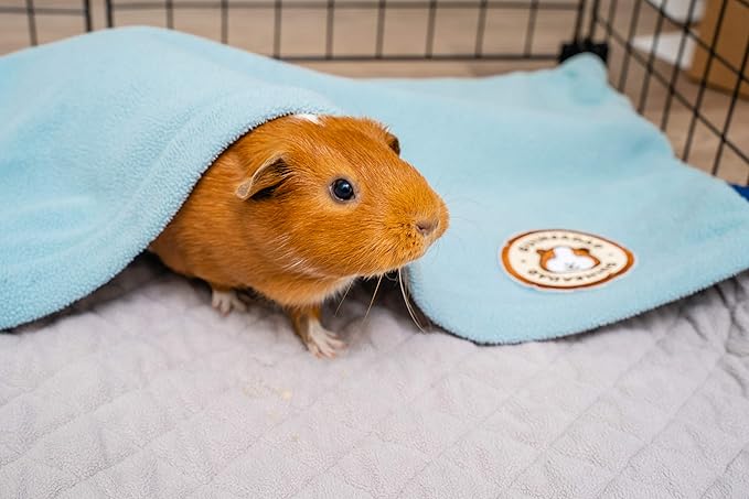 GuineaDad Original Reusable Cage Liner – Blue Fleece Bedding with Burrowing Pocket – Extra Absorbent Core & Waterproof Bottom – Fits C&C 2x4 Guinea Pig Cages – Small Animal Supplies