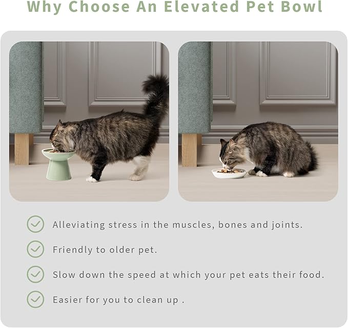 CEEFU Extra Wide Elevated Ceramic Cat Water Bowl - 6.2" Deeper Dish for Whisker Fatigue Relief, 5" Height for Easy Feeding, Lead & Cadmium Free, Durable Raised Cat Bowls, Green