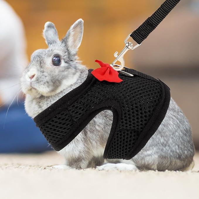 NUOBESTY Bunny Harness Leash Set Breathable Mesh Vest Guinea Pig Harness Adjustable Chest 20-23cm Small Pet Walking Supplies for Rabbits and Guinea Pigs