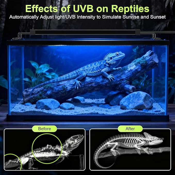 12W LED UVB Light for Reptiles Terrarium Light Extendable Reptile Tank Light with Controller ＆Dimming and 5 UVI Modes Full Spectrum Brilliant White Blue Red Lights for Bearded Dragon, Gecko