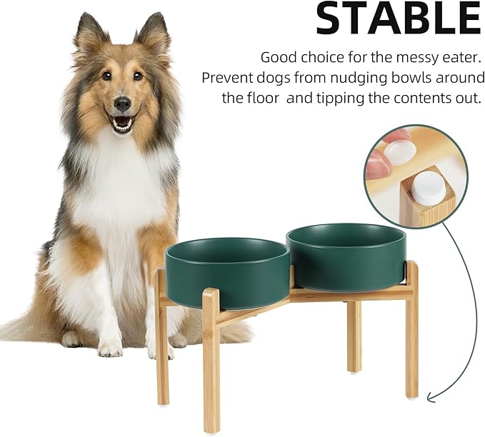 Havniva Ceramic Raised Double Bowls Set with Stand, Food & Water Bowls for Large Breed Dogs, Weighted Dog Dishes, Pet Bowl(8.2'',60OZ, Green)