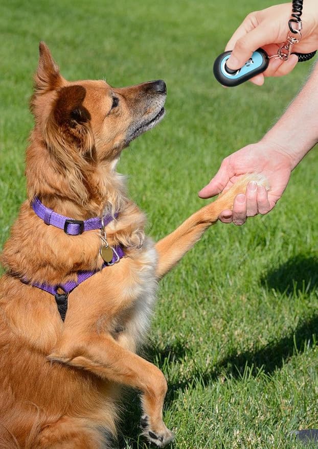 Pet Training Clicker with Wrist Strap - Dog Training Clickers (5PCS)