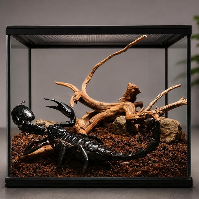emours Spider Wood for Aquarium, Natural Driftwood for Fish Tank Decor, Aquascape Wood for Freshwater Aquarium & Reptile Habitat (12-16 Inch / 30-40 cm)