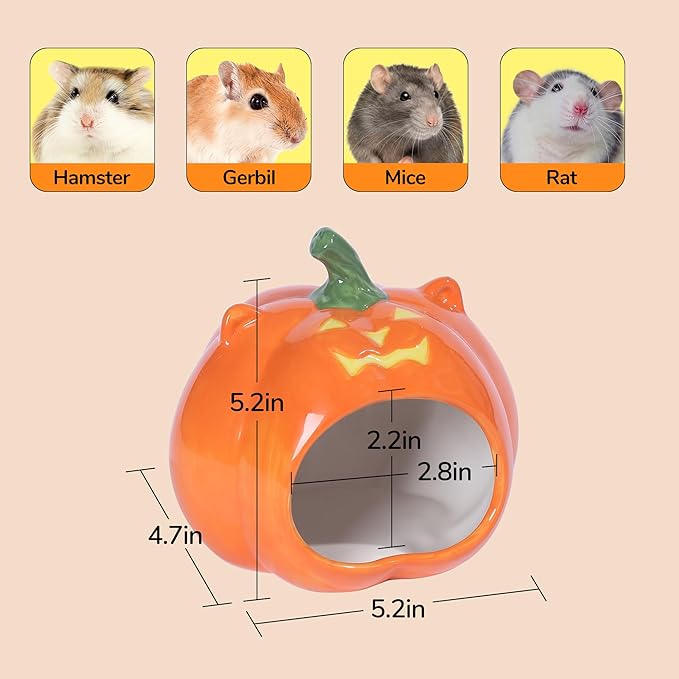Pumpkin Shaped Ceramic Hamster Hideout - Small Pet House for Syrian Dwarf Hamsters, Gerbils, Mice, Rats