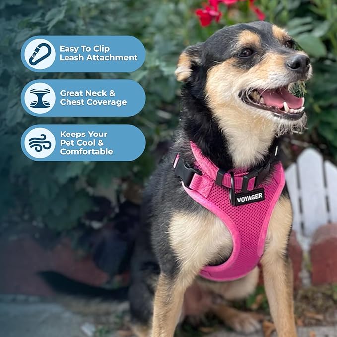 Voyager Step-in Pet Harness - All Weather Mesh, Adjustable Step in Harness for Cats and Dogs by Best Pet Supplies - Fuchsia, XL