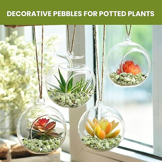 3/8 Inch Polished Decorative Pebbles, River Rocks for Indoor Plants, Succulents, Planters, Vases, Fish Tank, Aquarium Gravel & Landscaping, Jade, 3LB
