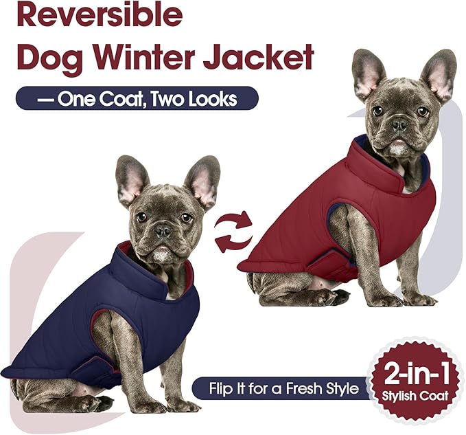 QBLEEV Reversible Dog Winter Coat, Waterproof Windproof Warm Jacket with Adjustable Hook & Loop Design, Lightweight Puffer Vest for Medium Dogs, Wine Red, M – Fits Pug, Beagle, Corgi