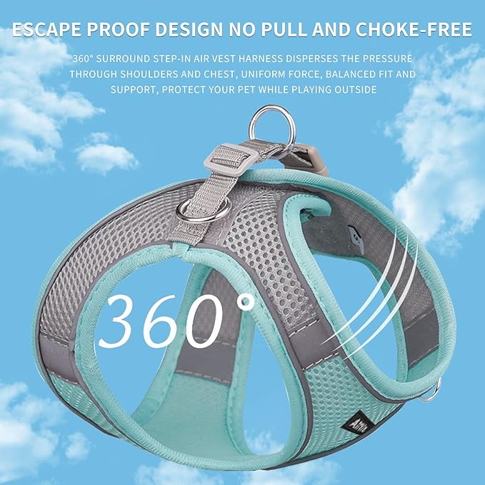 AIITLE Easy Walk Dog Harness and Leash Set - Pet Supply No Pull, Step in Adjustable Dog Harness with Padded Vest, Dog Harness No Choke Over, Easy to Put on Medium Dogs Turquoise L