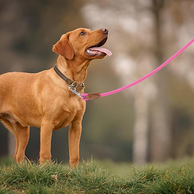 Mile High Life Leather Dog Leash, Heavy Duty Strong Genuine Leather Handle Rope Leash Soft and Comfortable for Small Medium Large Dogs (Hot Pink, 72 Inch)