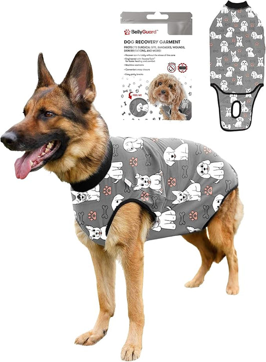 BellyGuard Dog Surgery Recovery Suit, Dog Onesie for Post-Op Care, Recovery Apparel for Female and Male, Surgical Body Cover for Canine Healing Support