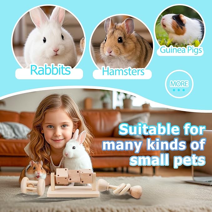AOWPFVV 3 Pcs Wooden Hamster Enrichment Toys, Guinea Pig Chew Toys for Syrian & Dwarf Hamsters,Rabbits, Gerbils, Rats, Chinchillas, Small Animals Playing Teeth Grinding Indoor Outdoor
