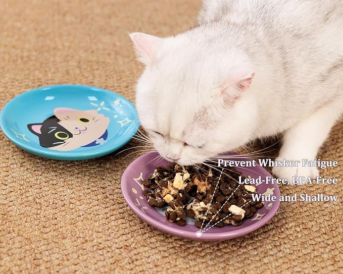 Ceramic Shallow Cat Dish 6 inch, Whisker Fatigue Free Cat Food Bowls, Wide and Small Pet Plate for Kitten and Kitty, Cat Design Gift for Cat Lovers