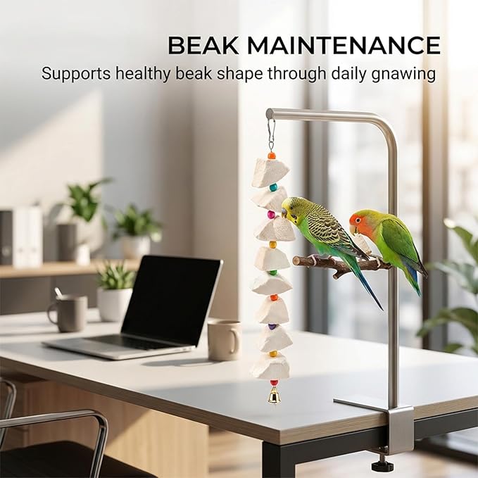 3-Pack Cuttlefish Bone with Volcanic Stone for Parakeets and Small Medium Birds, Cuttlebone for Birds, Natural Beak Care and Calcium Supplement, Cage Enrichment Accessories