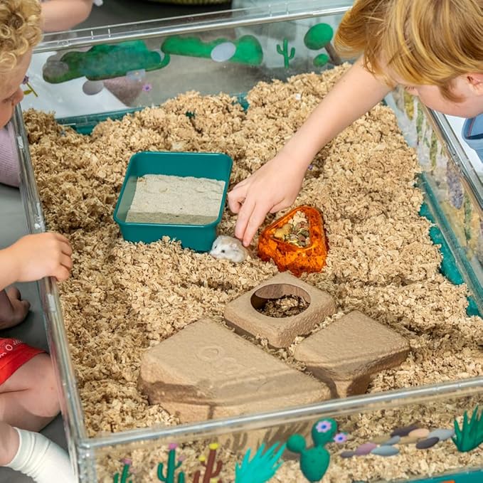 Omlet Hamster Sand Bath | Perfect Sand Bath Size for All Types of Hamsters and Gerbils | Comes with Compostable Hide to Slot in Under The Stand for Post Bath Burrowing | Green