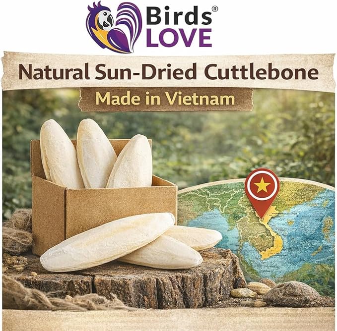 Birds LOVE 5.5-6″ Cuttlebone for Birds – 100% Natural Sun-Dried Calcium & Beak Conditioning Supplement for Parakeets, Budgies, Cockatiels, Finches & Canaries – 12 Pack with Holder – Made in Vietnam