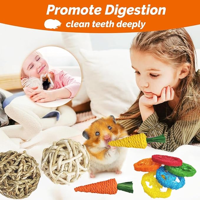 Toys for Rabbit Toys Bunny/Guinea Pig Toys,Bunny Chew Toys for Teeth, Natural Rabbit Toys Apple Wood,Handmade for Guinea Pig Hamster Rat Chinchilla Small Animals Teeth Grinding 20 Pack