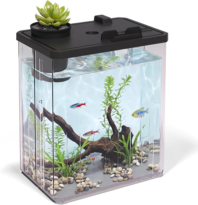 2 Gallon Betta Fish Tank Aquarium Starter Kit with Light and Lid(Black) | Premium Acrylic Aquarium with Light and Lid, Crystal Clear Starter Kit for Betta Fish, Shrimp, Snails and Small Fish