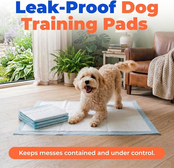 Best Pet Supplies XL (36 x 28 Inches) Puppy Pads 100 Count - Super Absorbent Dog Training Pads, Quick-Dry, Odor Control, Disposable Pee Pads, Leak-Proof Wee Wee Pads for Indoor Dogs – Baby Blue