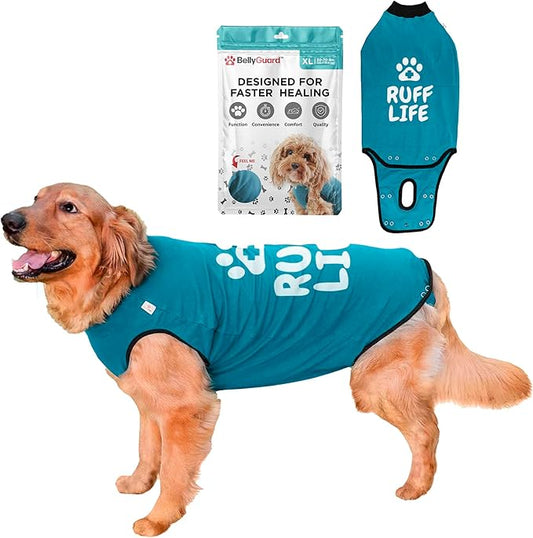 BellyGuard Dog Surgery Recovery Suit, Dog Onesie for Post-Op Care, Recovery Apparel for Female and Male, Surgical Body Cover for Canine Healing Support