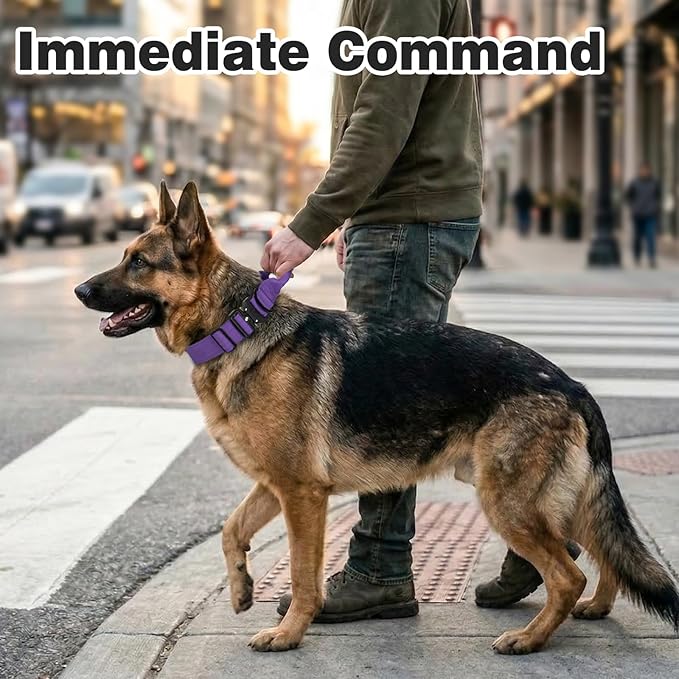 Joytale Tactical Dog Collar for Large Dogs with Control Handle, Heavy Duty Military Training Collar for Power Breeds, AirTag Holder Case, Quick Release Metal Buckle, Soft Padded, L, Purple