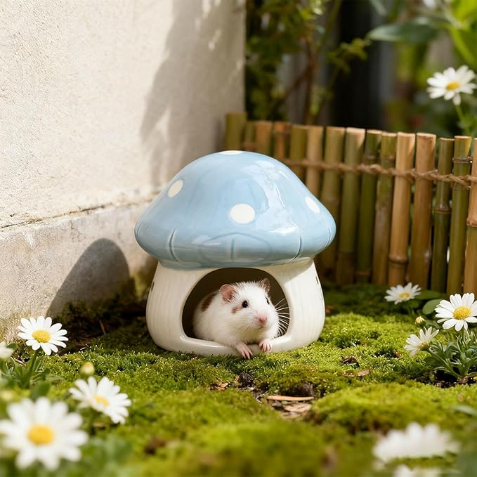Baoblaze Ceramic Hamster House, Small Animal Hideout, Sturdy Cute Mushroom Shaped Cave Hideaway House for Gerbils Chinchilla, Blue