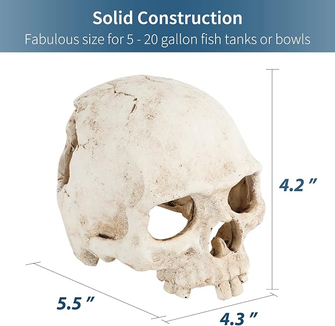 Uniclife Aquarium Skull Reptile House Decor Resin Head Skeleton Ornament for Tank Landscape Decorative Hideout Cave Shelter for Small Fish Shrimp Snail Gecko Spider Lizard in 5-20 Gallon Fish Tank