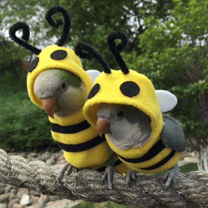 Bird Bee Shape Cosplay Photo Prop for Parrots Lovebird Budgie Parakeet Cockatiel Sun Conure, Small Animals Apparel (X-Large)