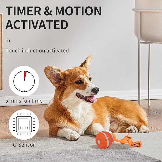2PCS Interactive Dog Toys Dog Ball,Automatic Rolling and Bouncing Moving Dog Toy,Squeaky Rolling Balls with Flashing Light,USB Rechargeable Chew Toys for Puppy Small Dogs, Pet Ball to Keep Them Busy