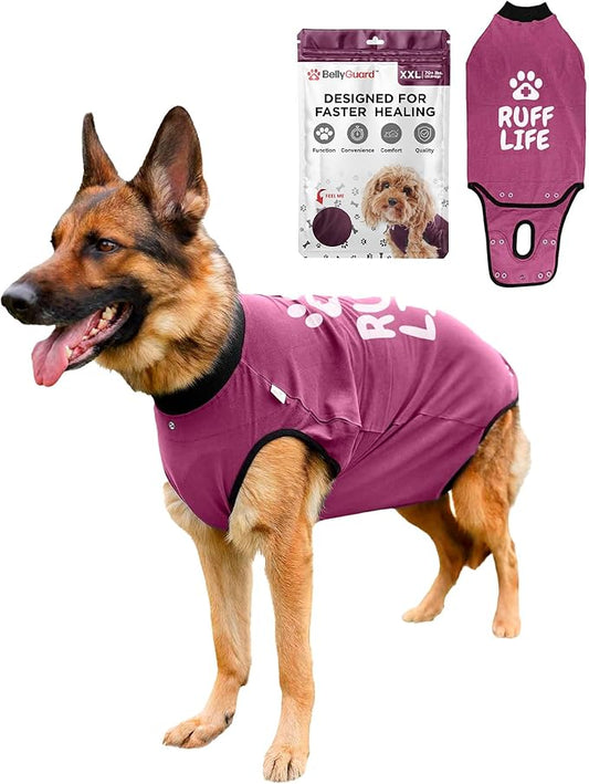 BellyGuard Dog Surgery Recovery Suit, Dog Onesie for Post-Op Care, Recovery Apparel for Female and Male, Surgical Body Cover for Canine Healing Support