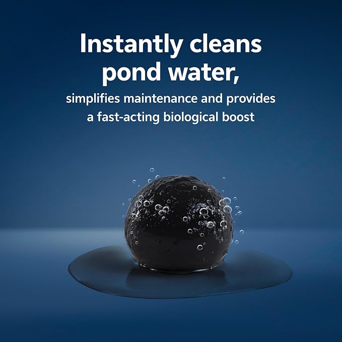 Aqueon Pure Pond Bomb, Reduces Organic Waste, Ammonia and Nitrates, Pond Maintenance and Biological Boost, Treats 2500 Gallons, 1-Pack