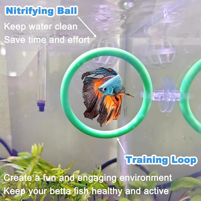 Betta Fish Toys - 4 Training Rings & 2 Bio Filter Balls, Beta Exercise Loop Toys and Nitrifying Balls Set, Betta Fish Tank Accessories Feeding Ring for Small Tank Decor Aquarium Water Conditioner