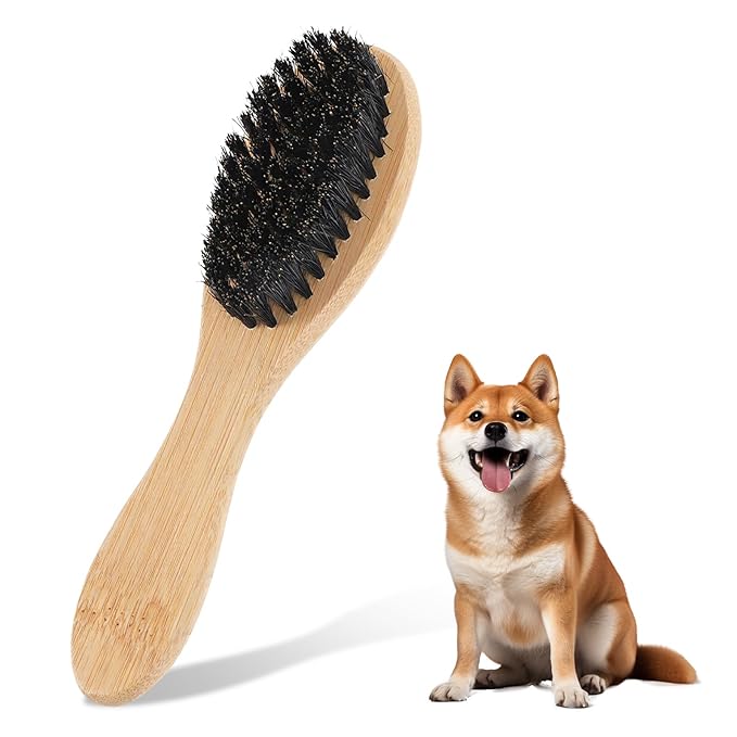 Soft Boar Bristle Dog Brush for Short Haired, Gentle Deshedding & Grooming Tool, Ideal Pet Hair Brush, Wood Handle Soft Pets Hairs Brushes for Short Hair Cats and Small Dogs, Small