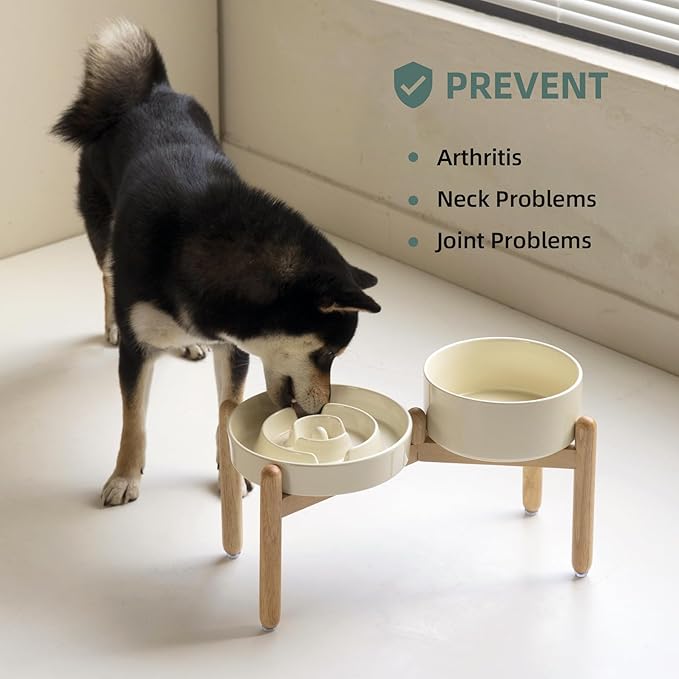 Havniva Ceramic Raised Slow Feeder Dog Bowl Set, Elevated 7.3inch Bowl and 8.2inch Puzzle Slow Dish with Wooden Stand for Medium and Large Dog, Anti-Gulping (2X Light Yellow+ Stand)