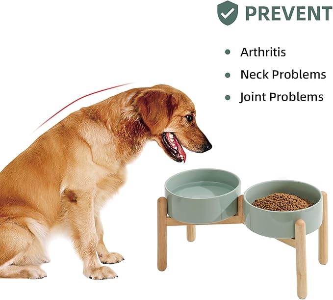 Havniva Ceramic 8.2inch Raised Dog Bowl with Stand for Large- Breed Dogs, Pet Food and Water Feeder (Double Bowl with Stand - Light Green)
