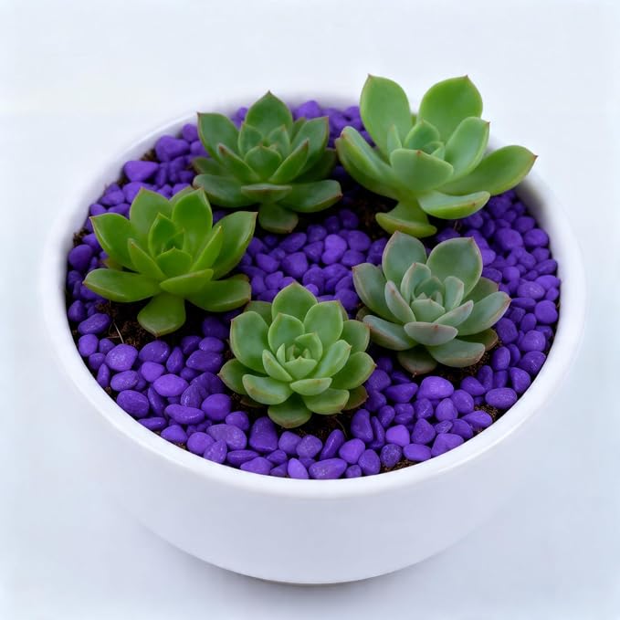 Colored Aquarium Gravel, Colorful Pea Gravel,Garden Rocks,Decorative Stones Rocks for Fish Tank,Aquarium,Fairy Garden Decor,Planters,Vase Fillers,Landscaping,1 Pound (Purple, 4-6mm)