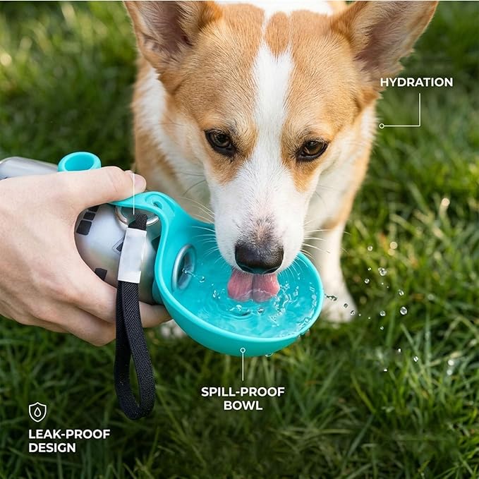 2026 NEW 2-in-1 Portable Dog Water Bottle for Small Dogs - Leak-Proof & Compact Dog Travel, Foldable Pet Water Bottle for Small Dog Walking, Hiking & Travel (Pink+Print)
