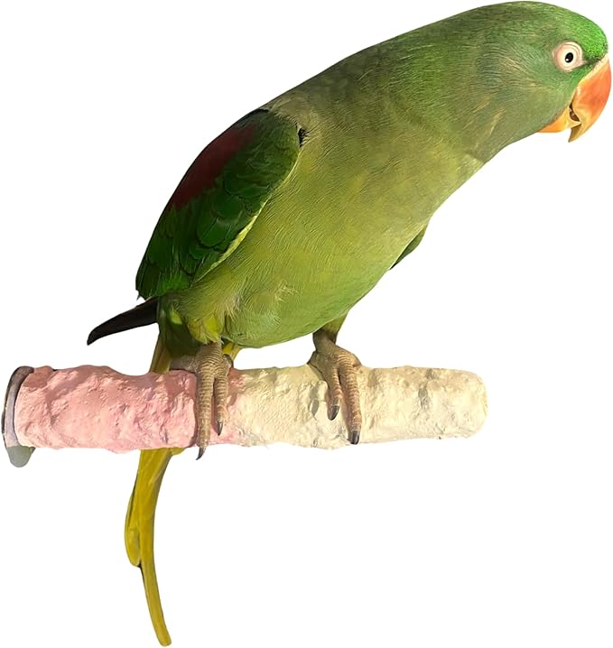 Polly's Edible Cuttlebone Calcium Bird Cage Perch for Budgies, Parakeets, Amazons, Blue & Golds, Macaws and Cockatoos.… (Strawberry, Medium)