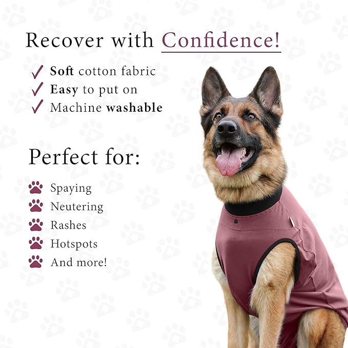 BellyGuard Dog Surgery Recovery Suit, Dog Onesie for Post-Op Care, Recovery Apparel for Female and Male, Surgical Body Cover for Canine Healing Support