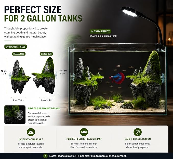 2 Gallon Small Fish Tank Starter Kit with Light, Filter and Mountain Decor | Desktop Betta and Shrimp Habitat with Lid, Gravel, Plants and Aquascaping Tools for Beginners