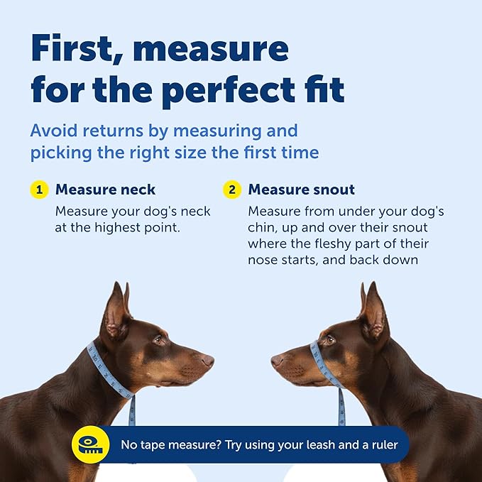 PetSafe Gentle Leader Headcollar No-Pull Dog Collar - Helps Improve Walks - Durable Nylon Construction - Padded Nose Loop - Adjustable Fit - Comfort Walking Halter - Medium, Royal Blue