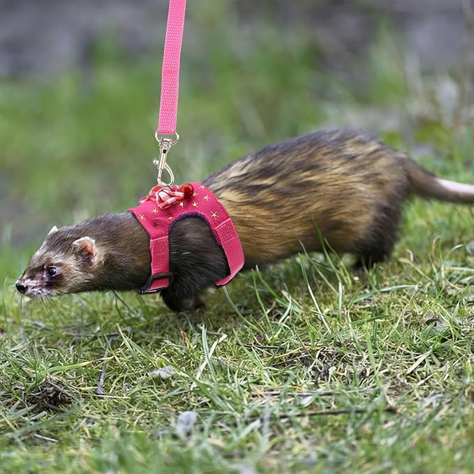 Hypeety Small Animal Harness Vest and Leash Set Soft Mesh Small Pet Harness Hamster Rabbit Chest Back Outdoor Leash Traction Rope for Rabbit Ferret Guinea Pig Kitten Clothes Accessory (S, Pink Star)