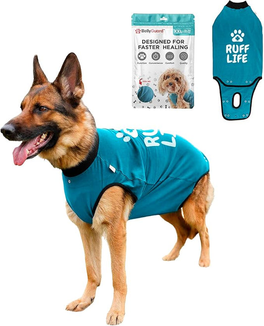 BellyGuard Dog Surgery Recovery Suit, Dog Onesie for Post-Op Care, Recovery Apparel for Female and Male, Surgical Body Cover for Canine Healing Support