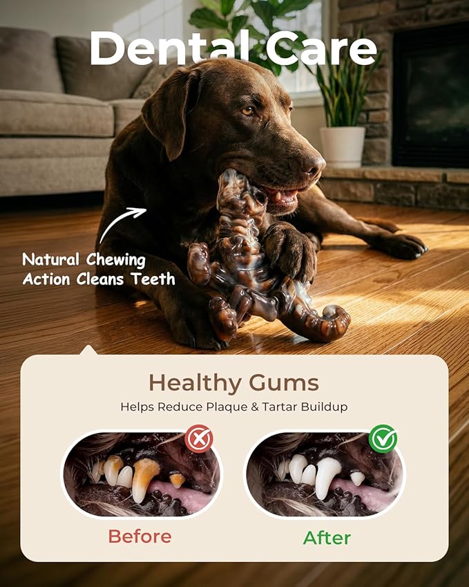 2 Pack Indestructible Dog Chew Toys for Aggressive Chewers: Ultra-Dense Nylon, Bacon Flavor Chew Bones, Heavy Duty Tough Toys for Large Dogs 20-90 lbs, Long Lasting & Keep Them Busy (XL)