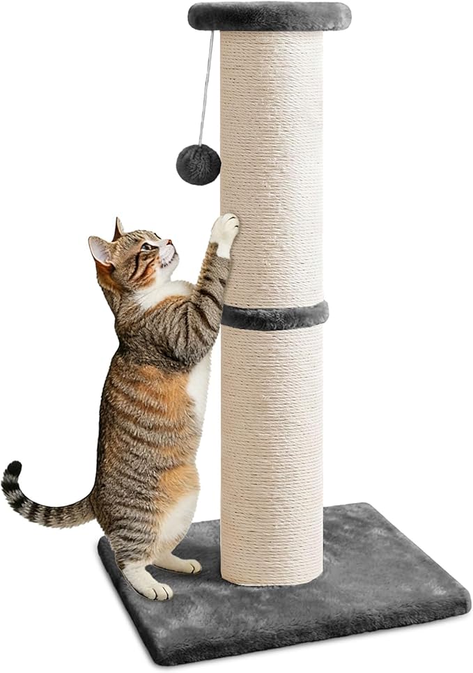 PAWSCRAT Cat Scratching Post 32" Tall, Large Diameter Natural Sisal Cat Scratch Post with Dangling Ball, Scratch-Resistant and Durable Tall Cat Scratcher for Indoor Cats, Protect Your Furniture, Grey