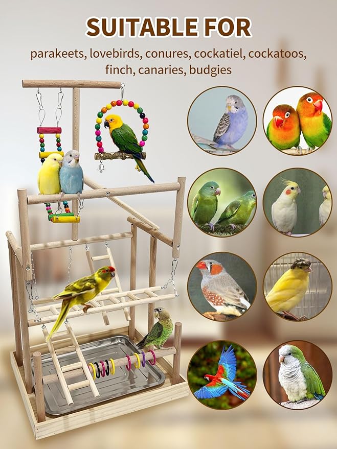 5 Layers Large Bird Playstand with Wheel, Natural Wood Parrot Playground, Parakeet Perch Stand Small Bird Playgym with Ladder Toy Accessories for Cockatiel Cockatoo Finch Budgie Lovebird