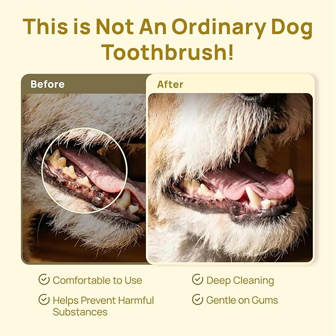 HICC PET Toothbrush for Cats & Small Dogs, Vet-Recommended Ergonomic Pet Toothbrush for Easy Teeth Cleaning, Gentle on Gums, Cat & Dog Dental Care, Improves Oral Hygiene. Toothpaste Not Included